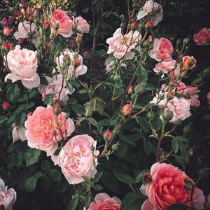 黄⚛️色⚛️女⚛️女⚛️
